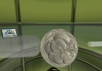 SL - lab_003