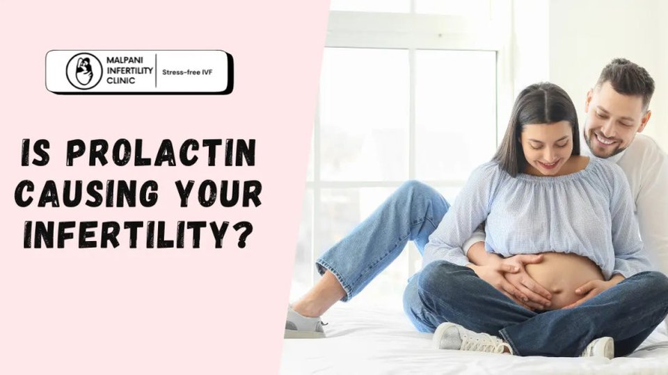 An educational fertility image showing a happy couple sitting together while the woman cradles her pregnant belly. The text asks whether high prolactin levels could be causing infertility, highlighting the importance of hormonal balance in conception.