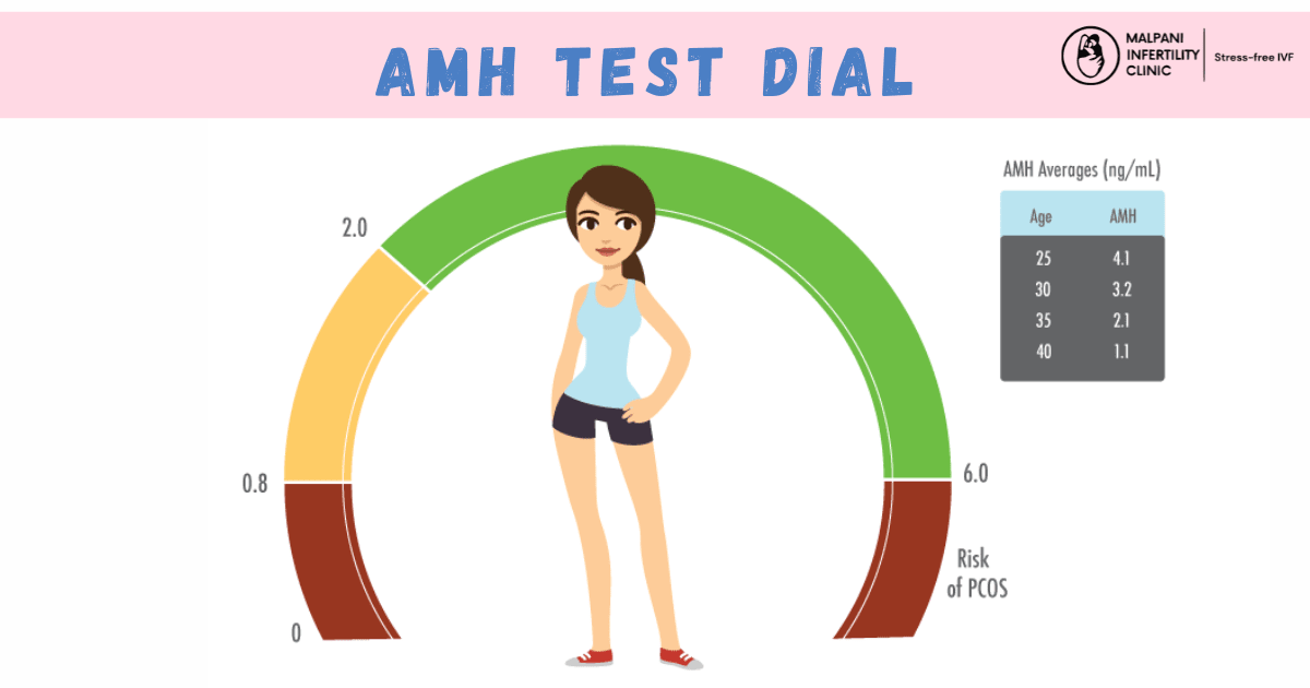 Illustration of an AMH test dial showing anti-Müllerian hormone levels in women.