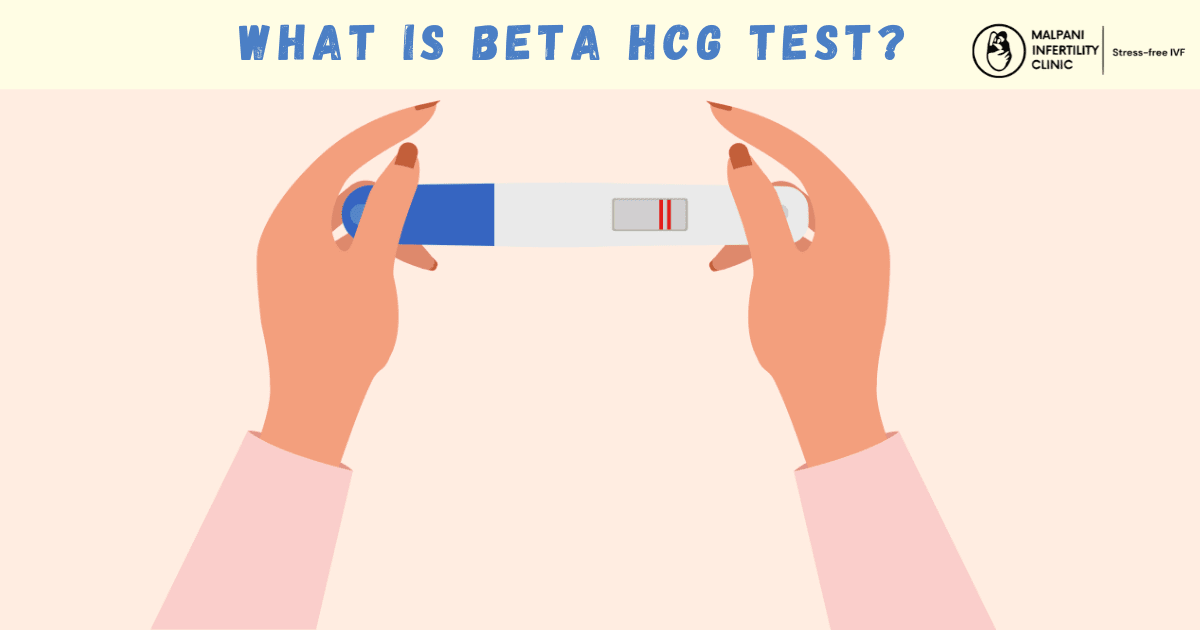 Illustration of hands holding a positive pregnancy test kit with two red lines, representing the Beta hCG test used to confirm pregnancy and monitor IVF success.