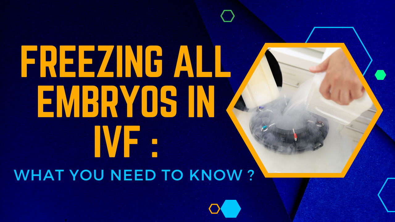 The Advantages of Freezing All Embryos in IVF A Comprehensive Guide