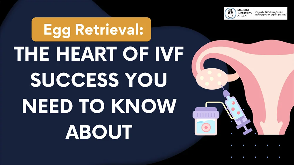 Egg retrieval during the IVF cycle the climax of the superovulation