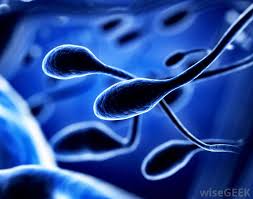 Image result for Print Email Edit Low sperm count