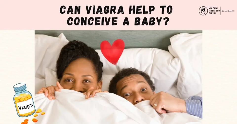 The image represents the question of whether Viagra can assist in conception by improving blood flow or treating sexual dysfunction in fertility cases.