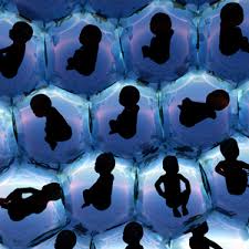 Image result for embryo transfer