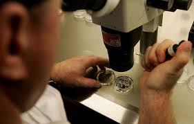 Image result for embryologist