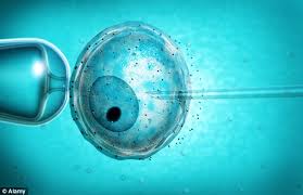 Image result for Print Email Edit ICSI Treatment
