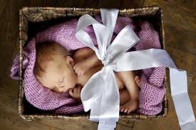 Image result for donor eggs