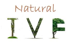 Image result for Natural Cycle IVF-