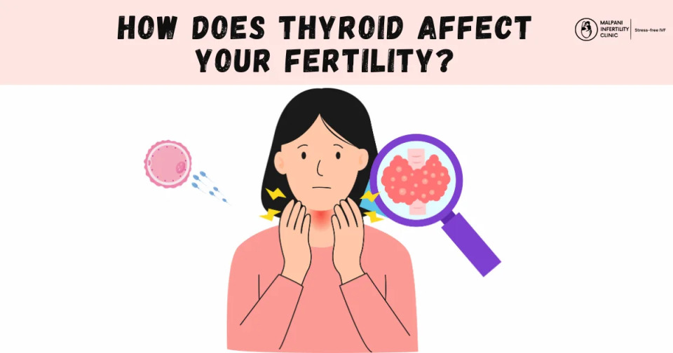 Thyroid and Fertility Impact: An illustration showing a woman touching her throat, a magnified view of the thyroid gland, and an egg cell that failed to fertilize.