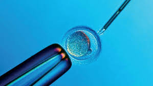 Image result for IVF?