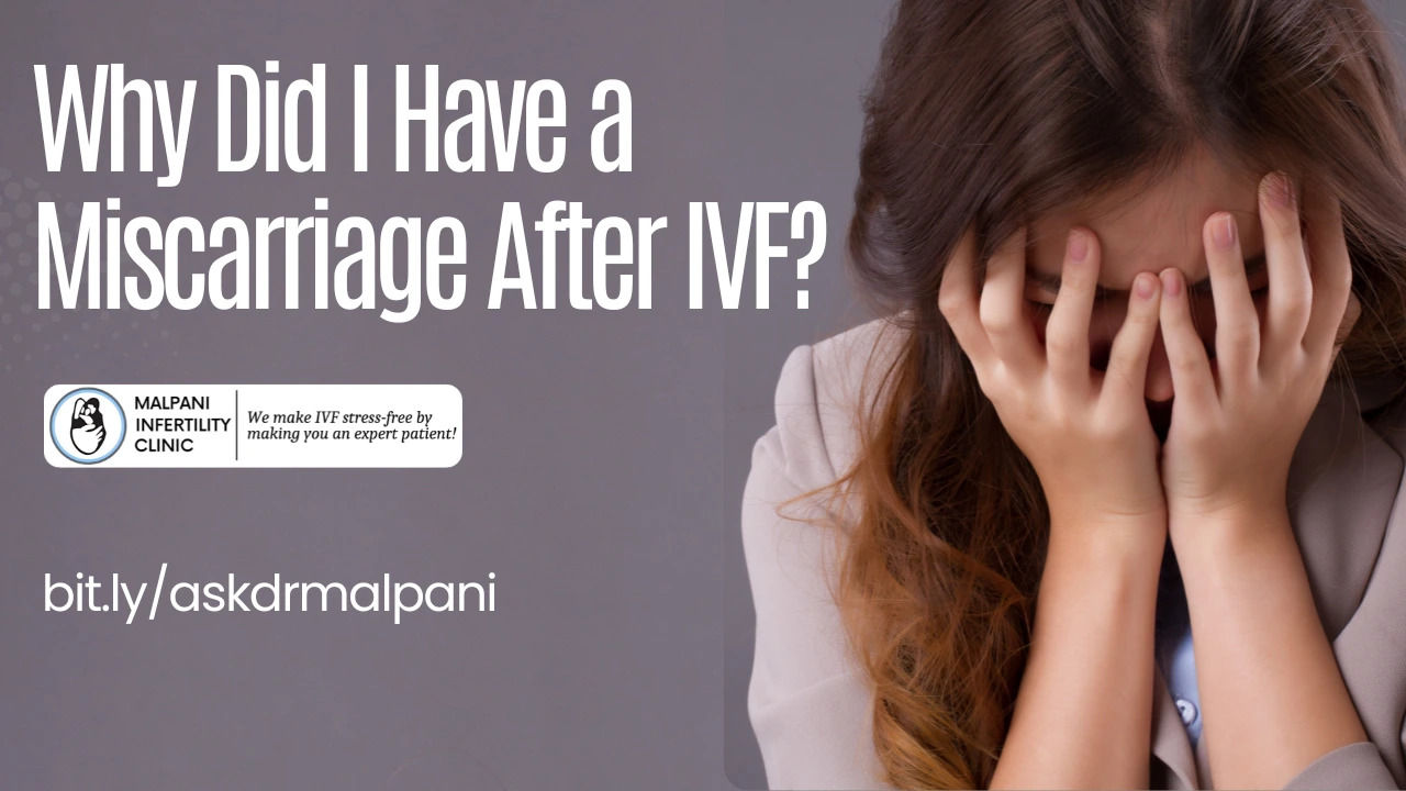 A distressed woman holding her head in her hands, illustrating the pain of miscarriage after IVF. Overlay text asks 'Why Did I Have a Miscarriage After IVF?' and promotes the Malpani Infertility Clinic, which offers expert, stress-free IVF guidance. Keywords include IVF complications, recurrent miscarriage, failed IVF, and fertility clinic support.
